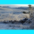Snow at the Ranch