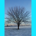 Snow at the Ranch
