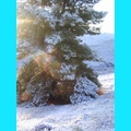 Snow at the Ranch