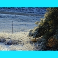 Snow at the Ranch