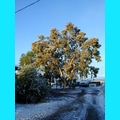 Snow at the Ranch