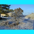 Snow at the Ranch