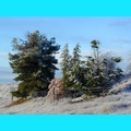 Snow at the Ranch