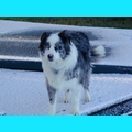 Snow at the Ranch