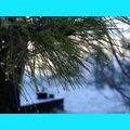 Snow at the Ranch