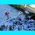 Snow at the Ranch