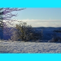 Snow at the Ranch