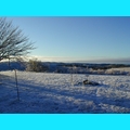 Snow at the Ranch