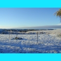 Snow at the Ranch