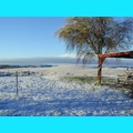 Snow at the Ranch
