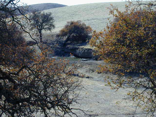 The Spring on the Pitts