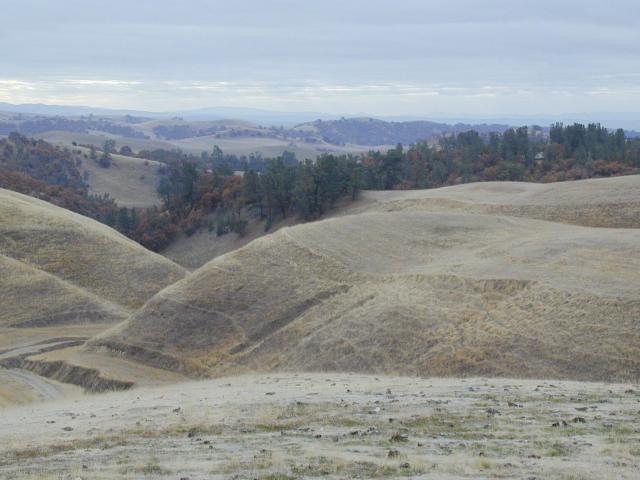 The Hills and Pine Canyon