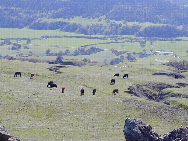 Peach Tree Valley from Hwy 198