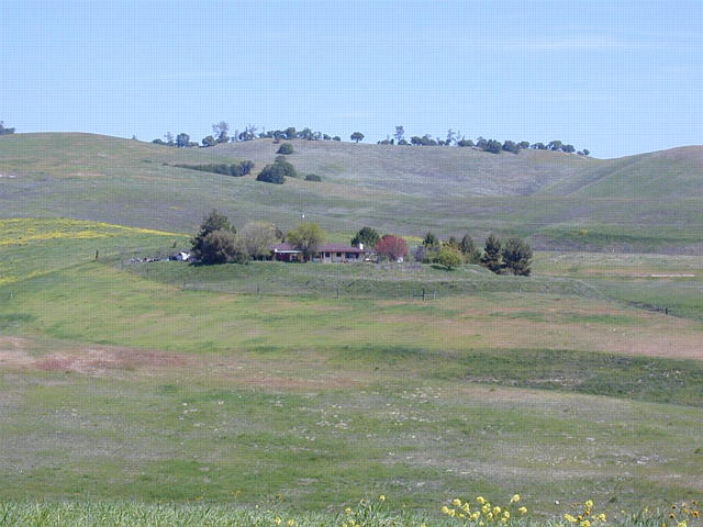 Trefftzs Ranch from The Spoon