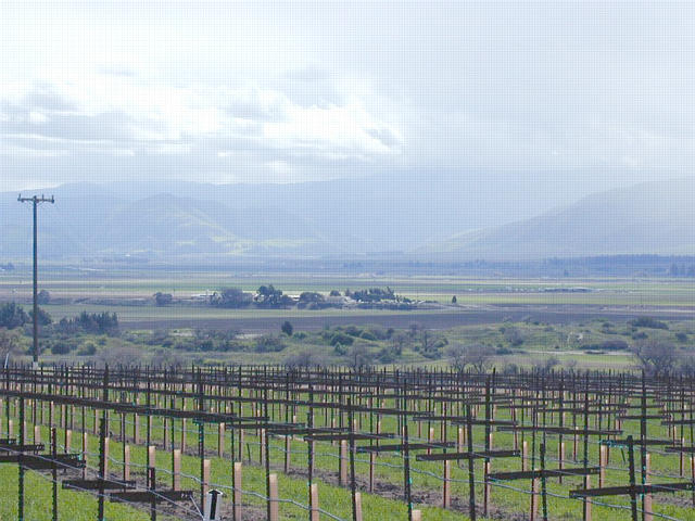 Looking West from Soledad