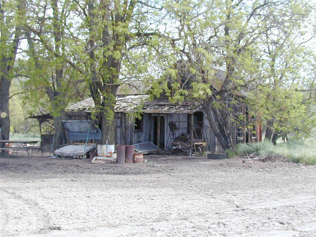 Abandoned house in Lowe's Canyon