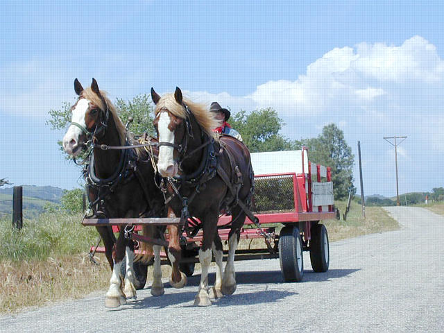 Harris Stage Lines:  Cowboy and Bill