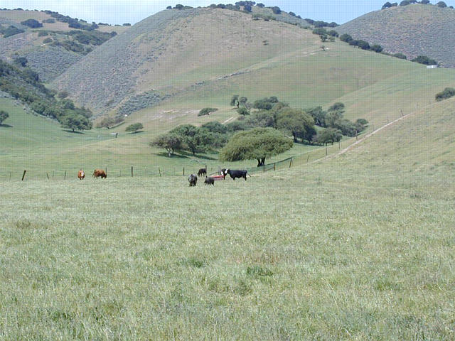 April scene in Thompson Canyon