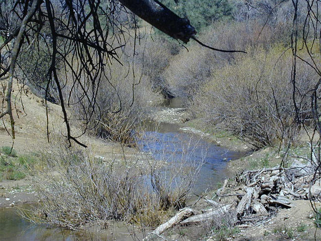 North Fork of Lewis Creek