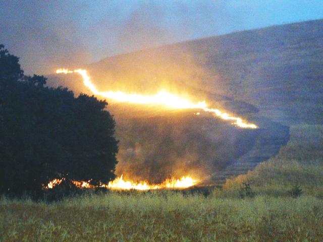Bare dirt stops the fire from spreading