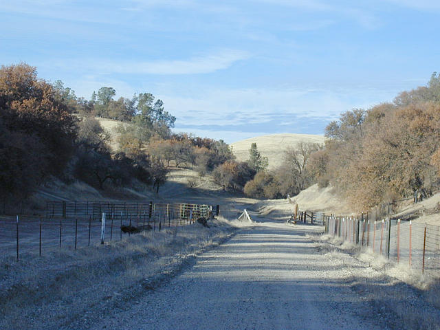 Country Road to the Home Place