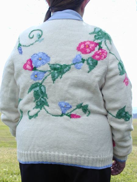 Morning Glory Sweater
Back